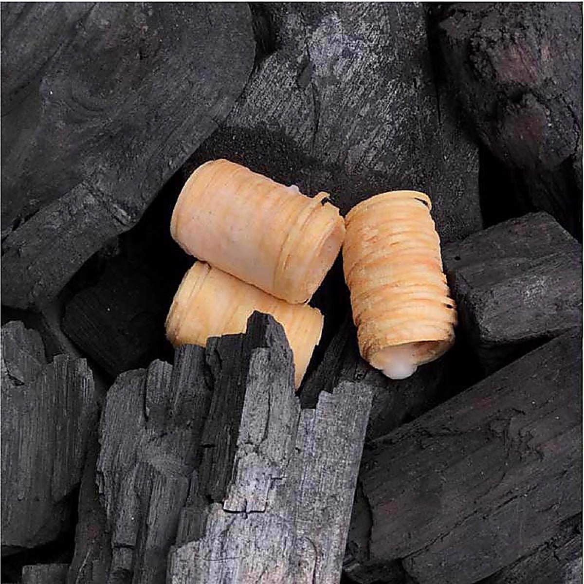 Fogo - FS30 - Fire Starter 30 CT