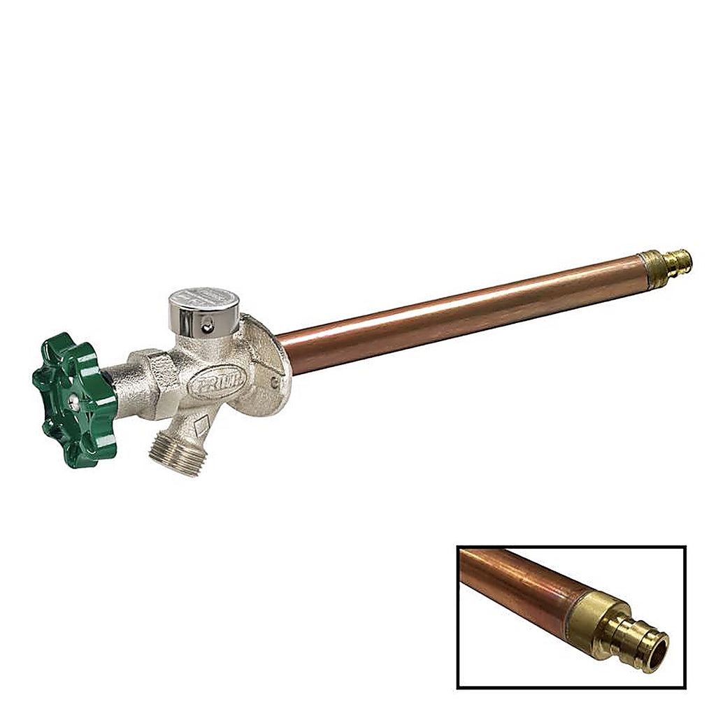 Prier - C-144W12 - 1/2 In. PEX In. Anti-Siphon Brass Freezeless Wall Hydrant