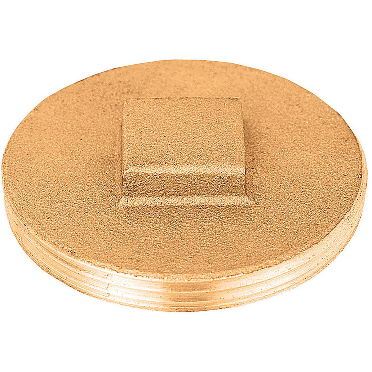 Sioux Chief 876-30PK 3 in. MPT Brass Replacement Plug
