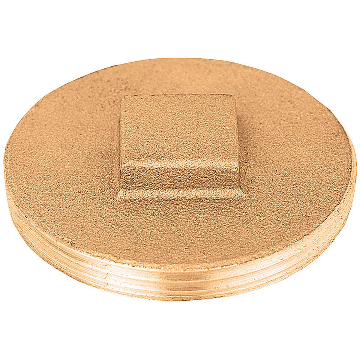 Sioux Chief 876-40PK 4 in. MPT Brass Replacement Plug