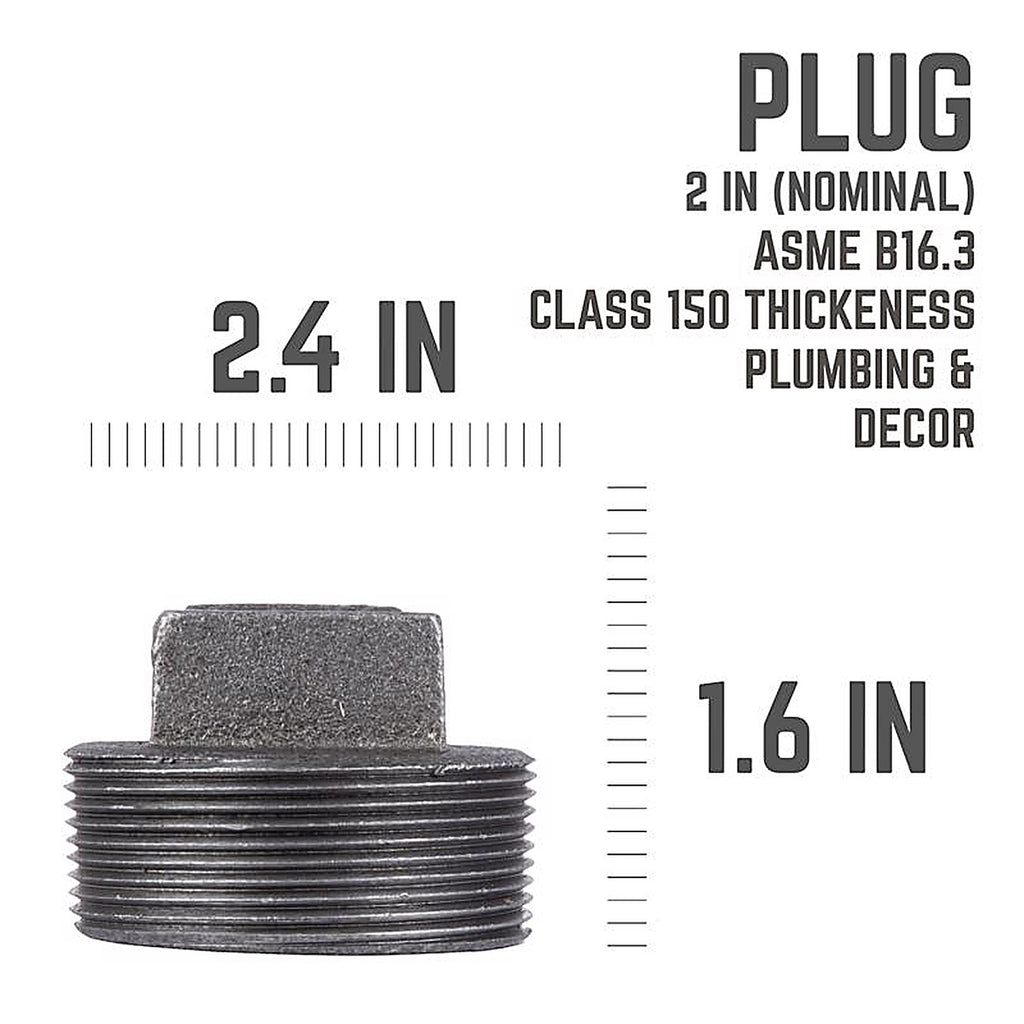 STZ Industries 310UP-2 2 in. MIP each Black Malleable Iron Plug
