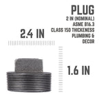 STZ Industries 310UP-2 2 in. MIP each Black Malleable Iron Plug