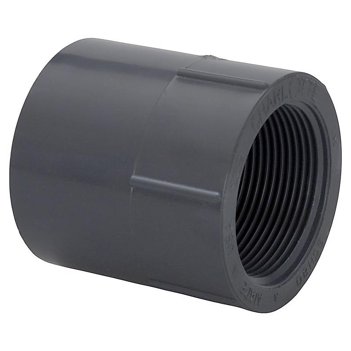Charlotte Pipe PVC081012000 Schedule 80 2 in. Slip x 2 in. Dia. FPT PVC Adapter