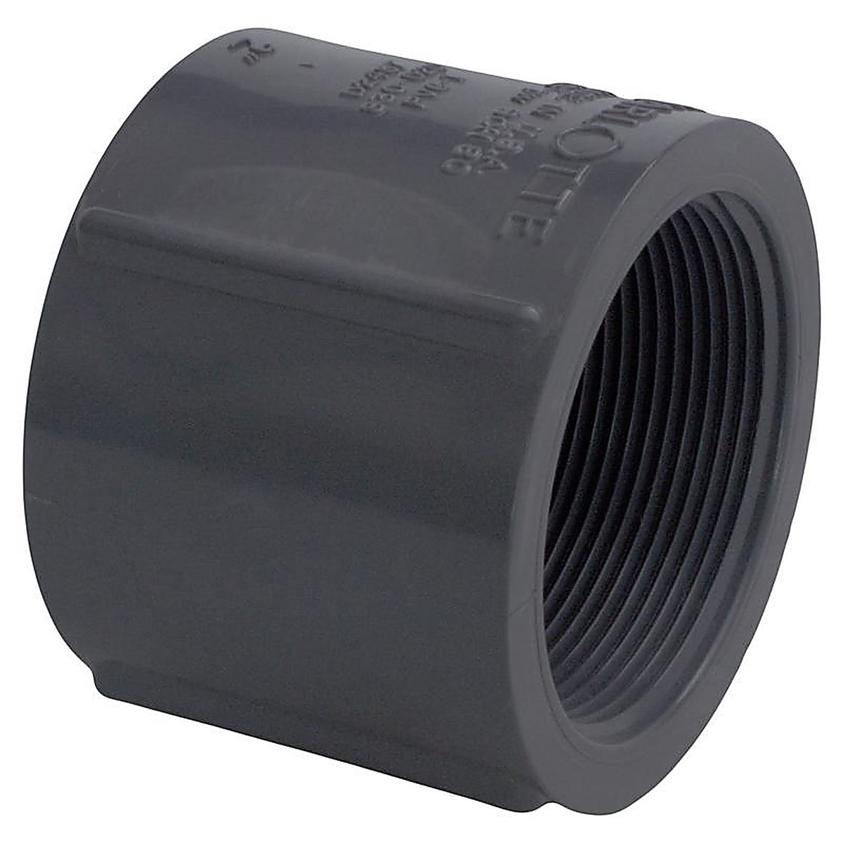 Charlotte Pipe PVC081022000 Schedule 80 2 in. FPT x 2 in. Dia. FPT PVC Coupling