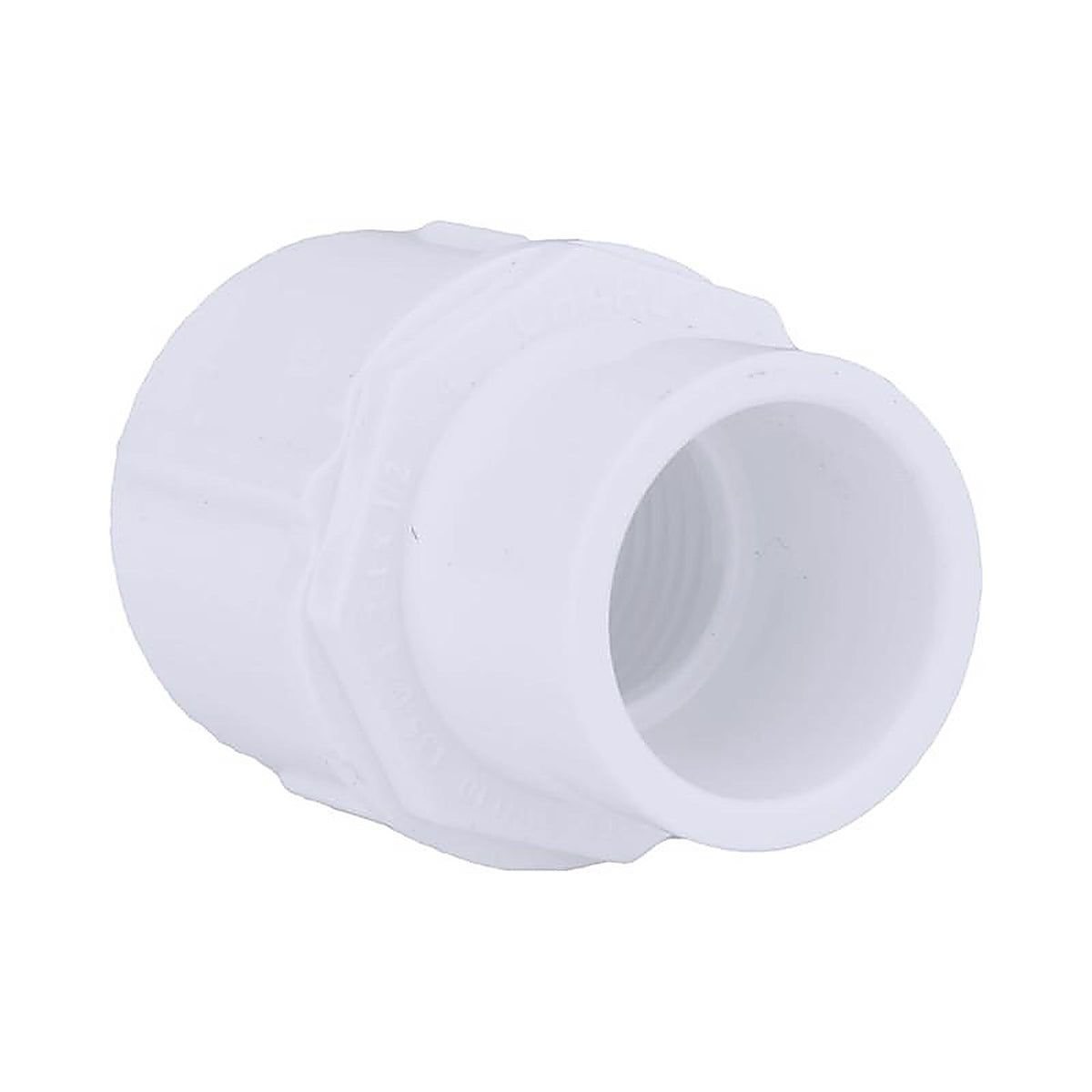 Charlotte Pipe PVC021040600 1/2 in. Socket x 3/4 in. Dia. FPT PVC Adapter
