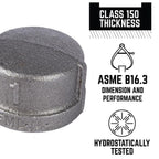 STZ Industries 310CA-38 3/8 in. FIP each T Black Malleable Iron Cap