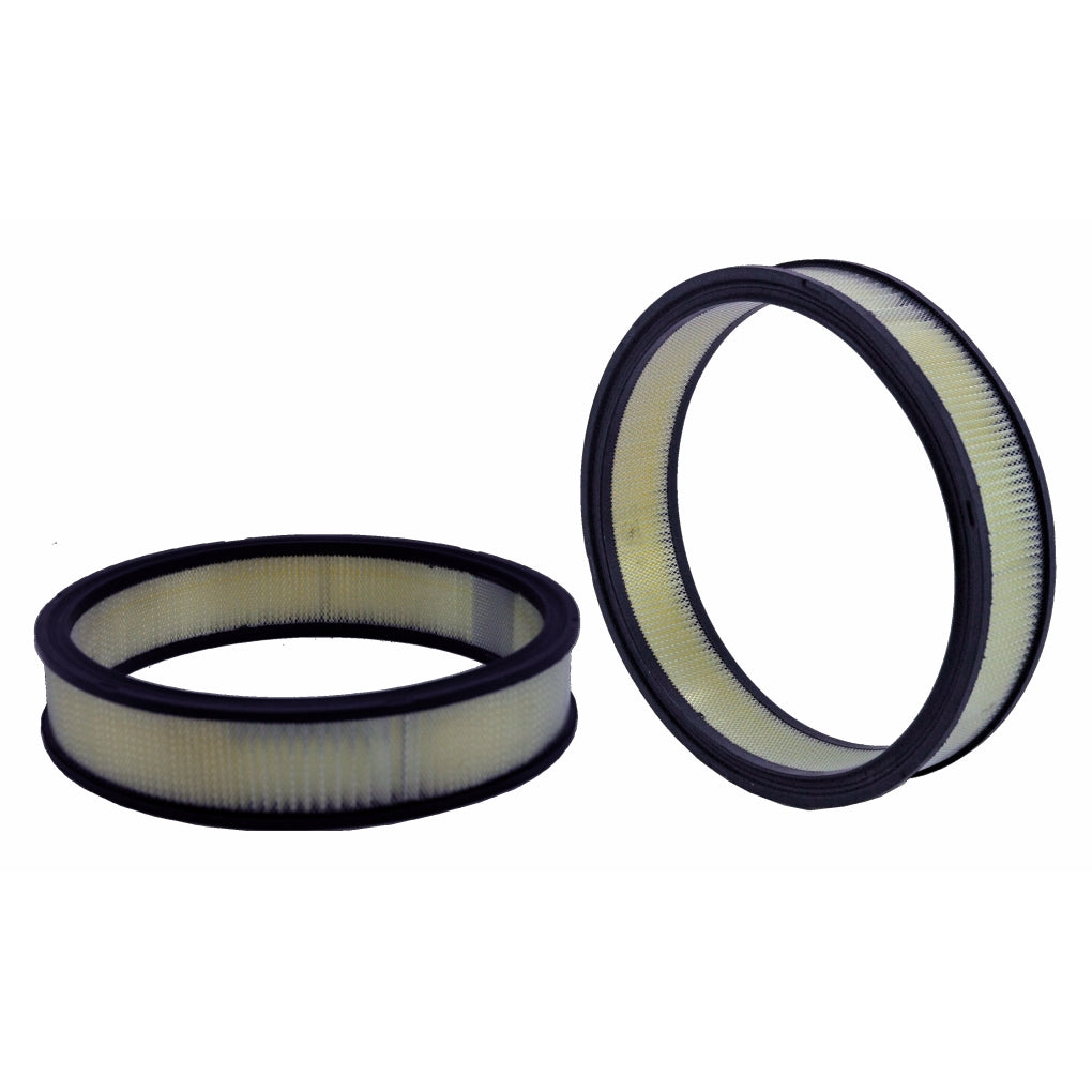 WIX 42099 Air Filter