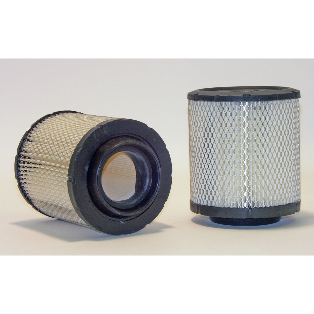 WIX 42384 Radial Seal Outer Air