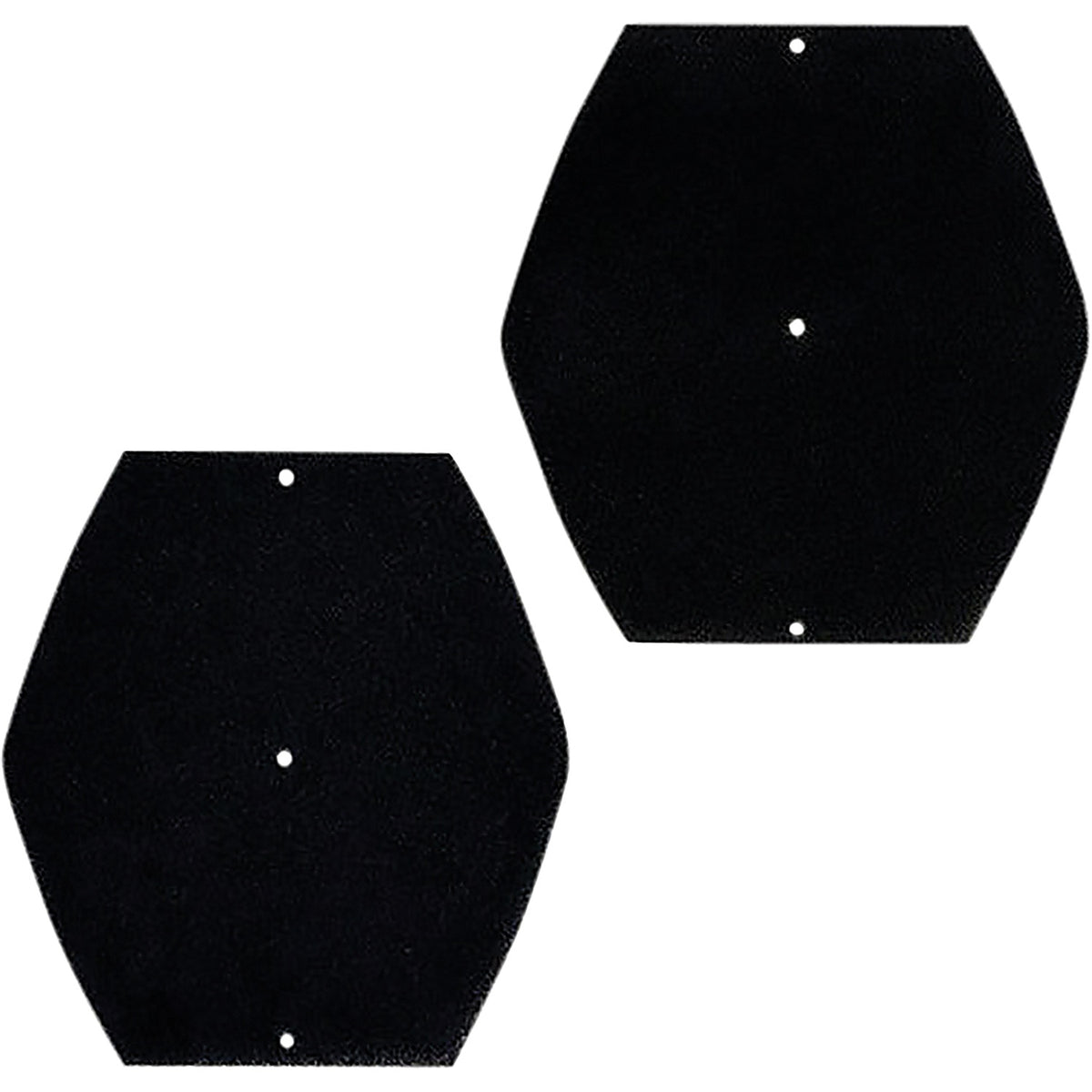 Fujispray - 4326-2 - Filters - D6 - Foam Pre-Filter (2-Pack)