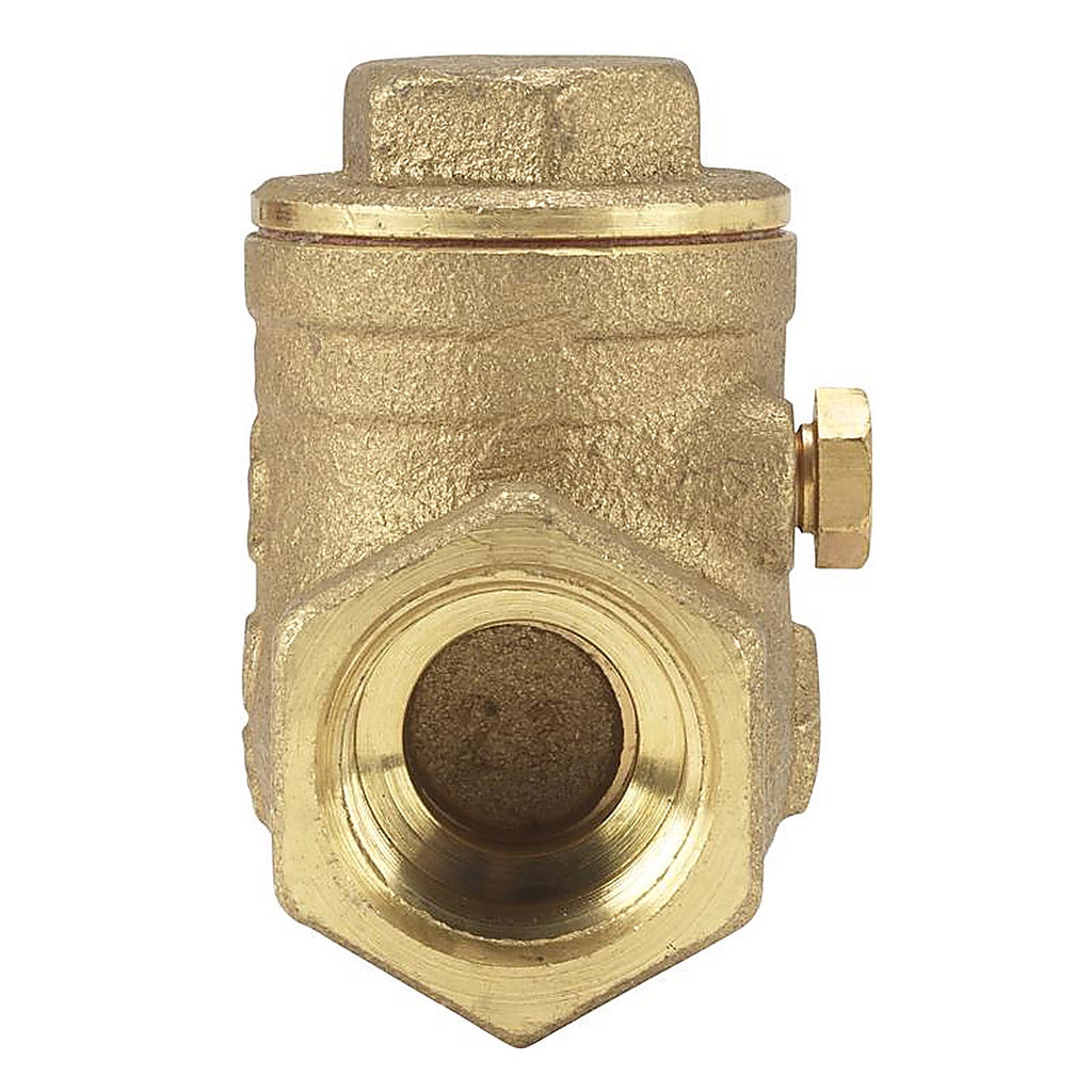 Homewerks 240-2-1 1 in. D X 1 in. D FIP Brass Swing Check Valve