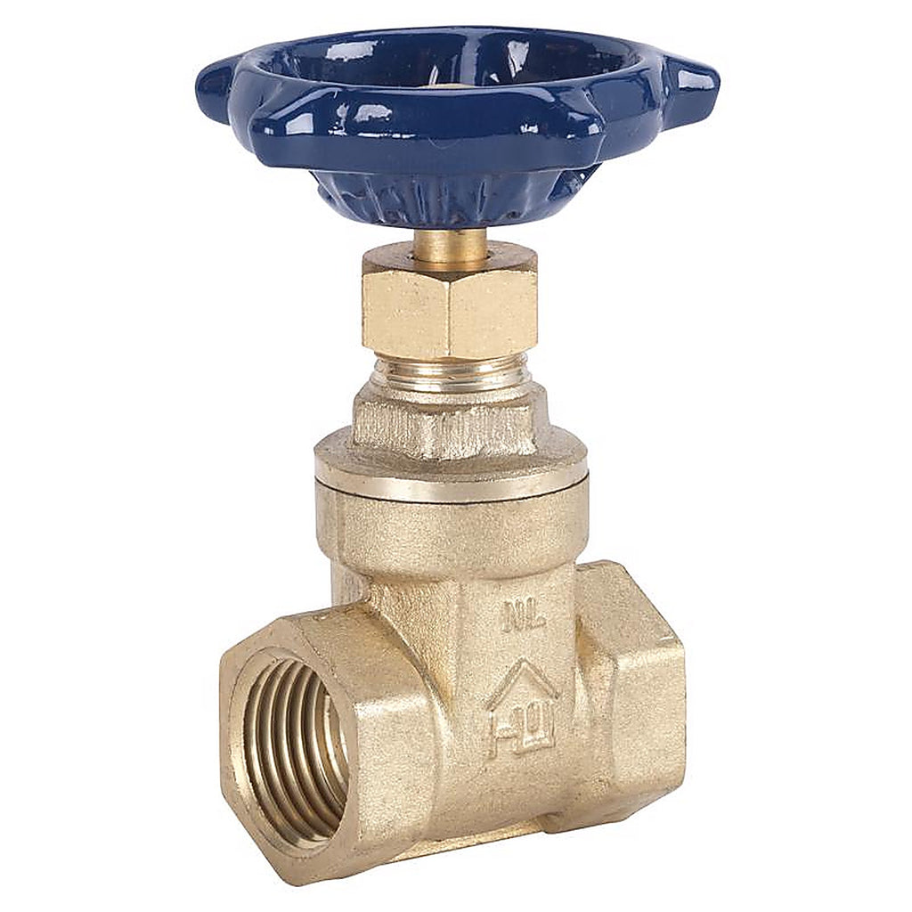 Homewerks 170-2-2 2 in. FIP Brass Gate Valve