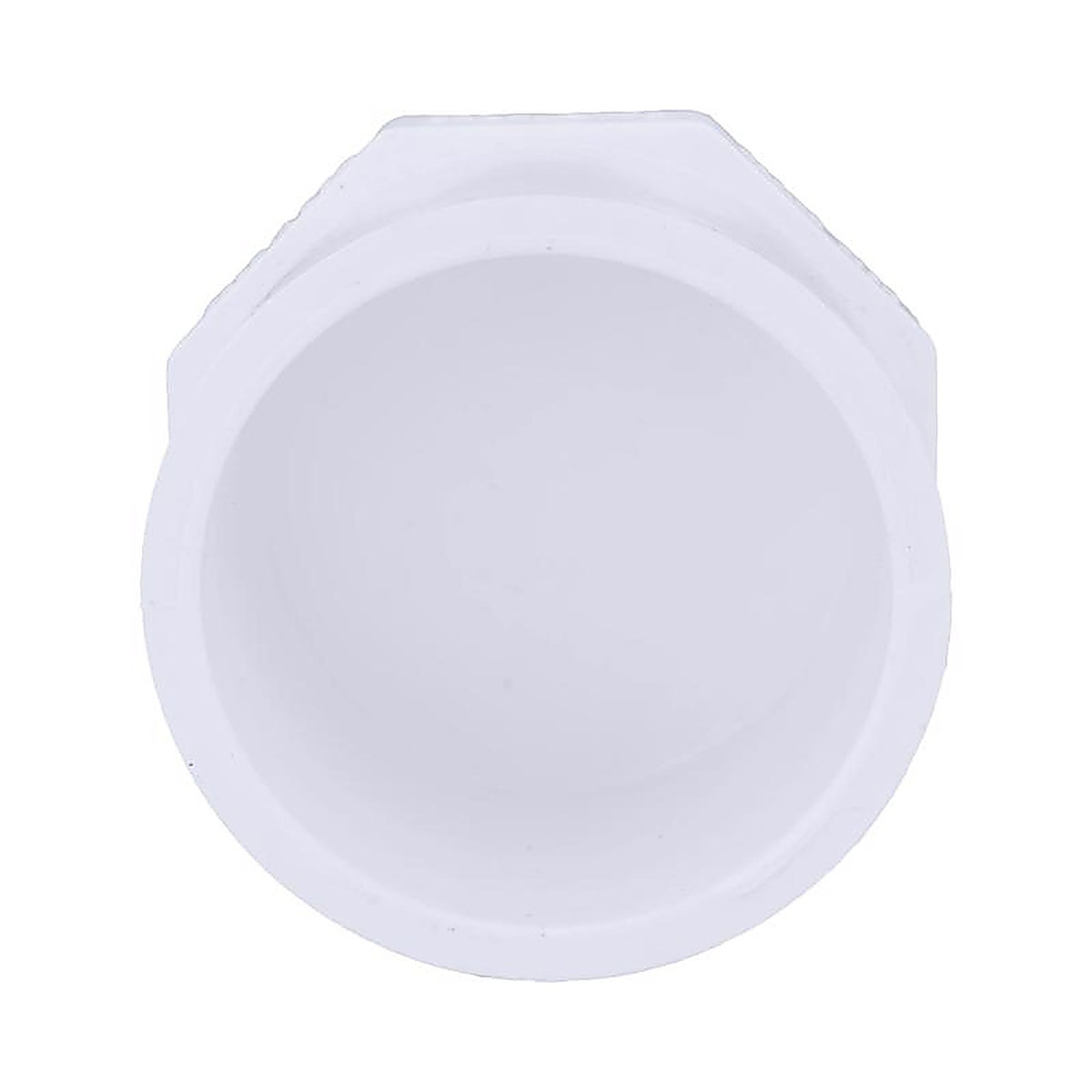 Charlotte Pipe PVC021181000 Schedule 40 3/4 in. Spigot x 3/4 in. Dia. Slip PVC Plug