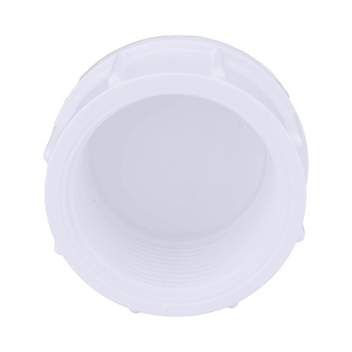 Charlotte Pipe PVC021170800 Schedule 40 1/2 in. FPT x 1/2 in. Dia. FPT PVC Cap