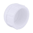 Charlotte Pipe PVC021171400 Schedule 40 1-1/4 in. FPT x 1-1/4 in. Dia. FPT PVC Cap