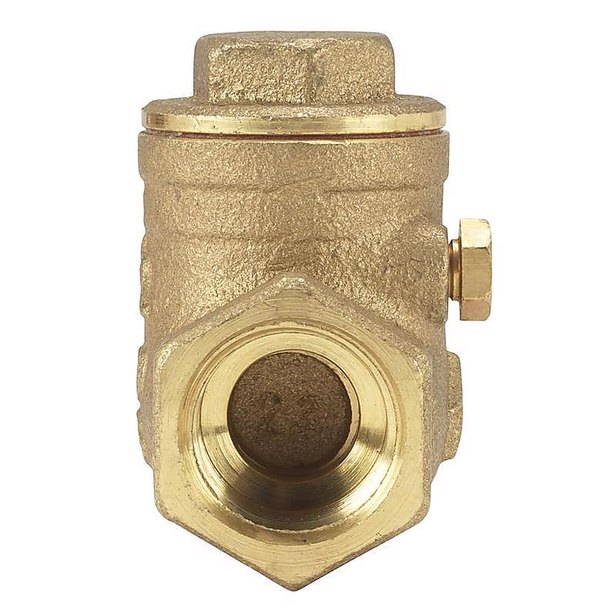 Mueller 101-008NL ProLine 2 in. Dia. x 2 in. Dia. FIP Brass Swing Check Valve