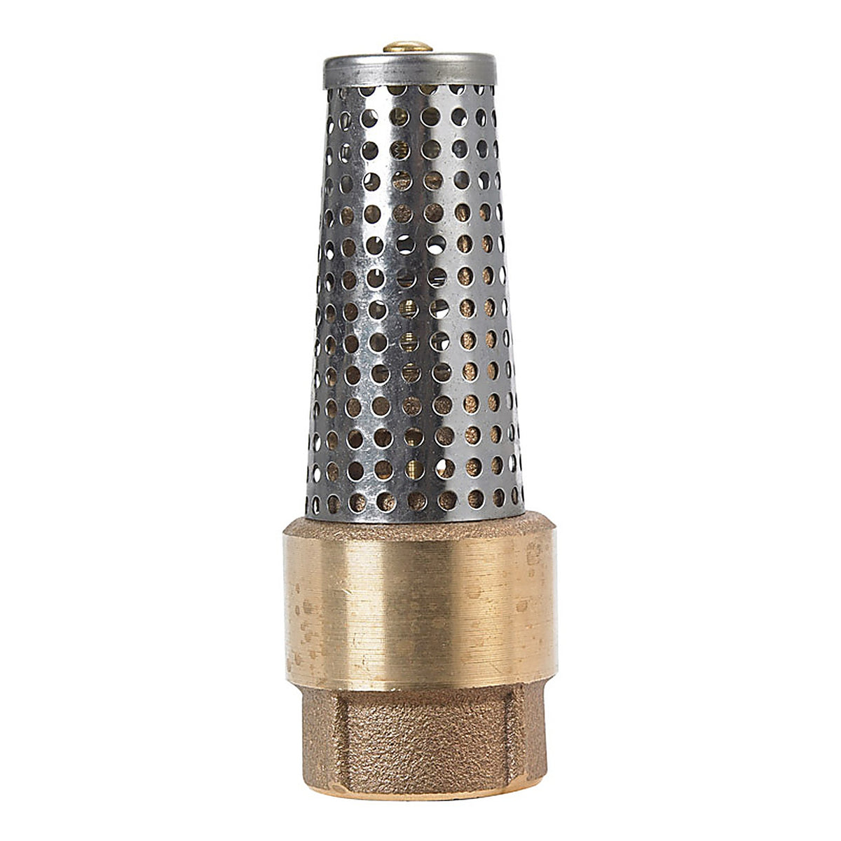 Campbell FV-4TLF 1 in. Dia. x 1 in. Dia. Brass Spring Loaded Foot Valve