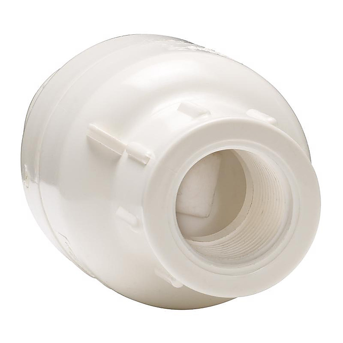 Homewerks VCKP40B4B 3/4 in. D X 3/4 in. D FIP PVC Spring Loaded Check Valve