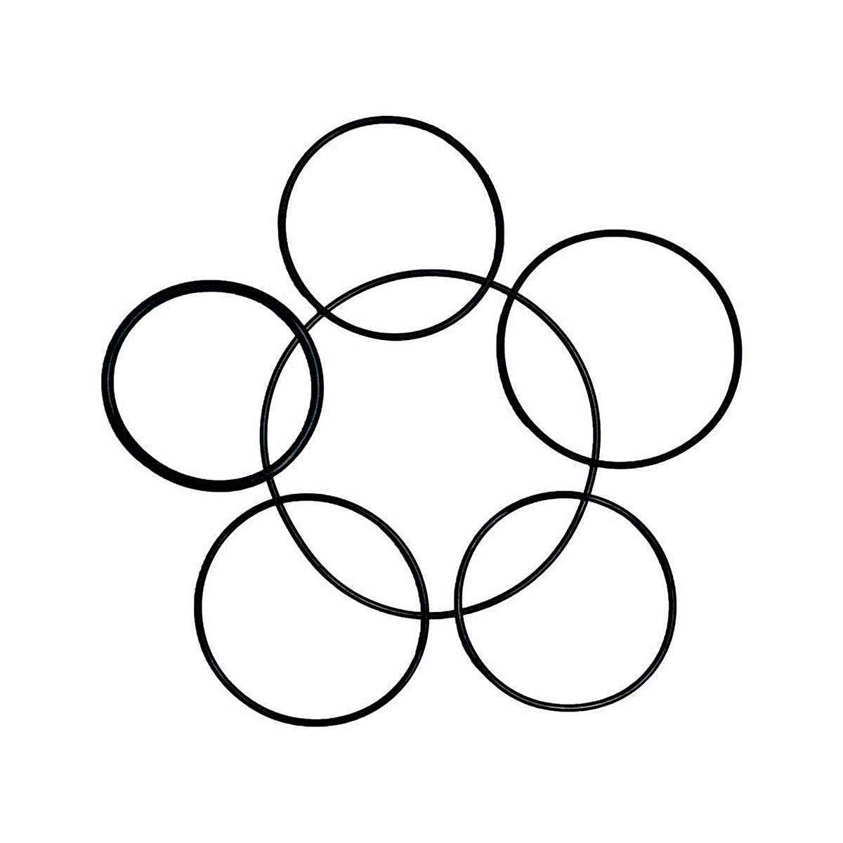 Danco 9D00010714 5-5/8 in. D X 3-3/8 in. D Rubber O-Ring Assortment 6 pk