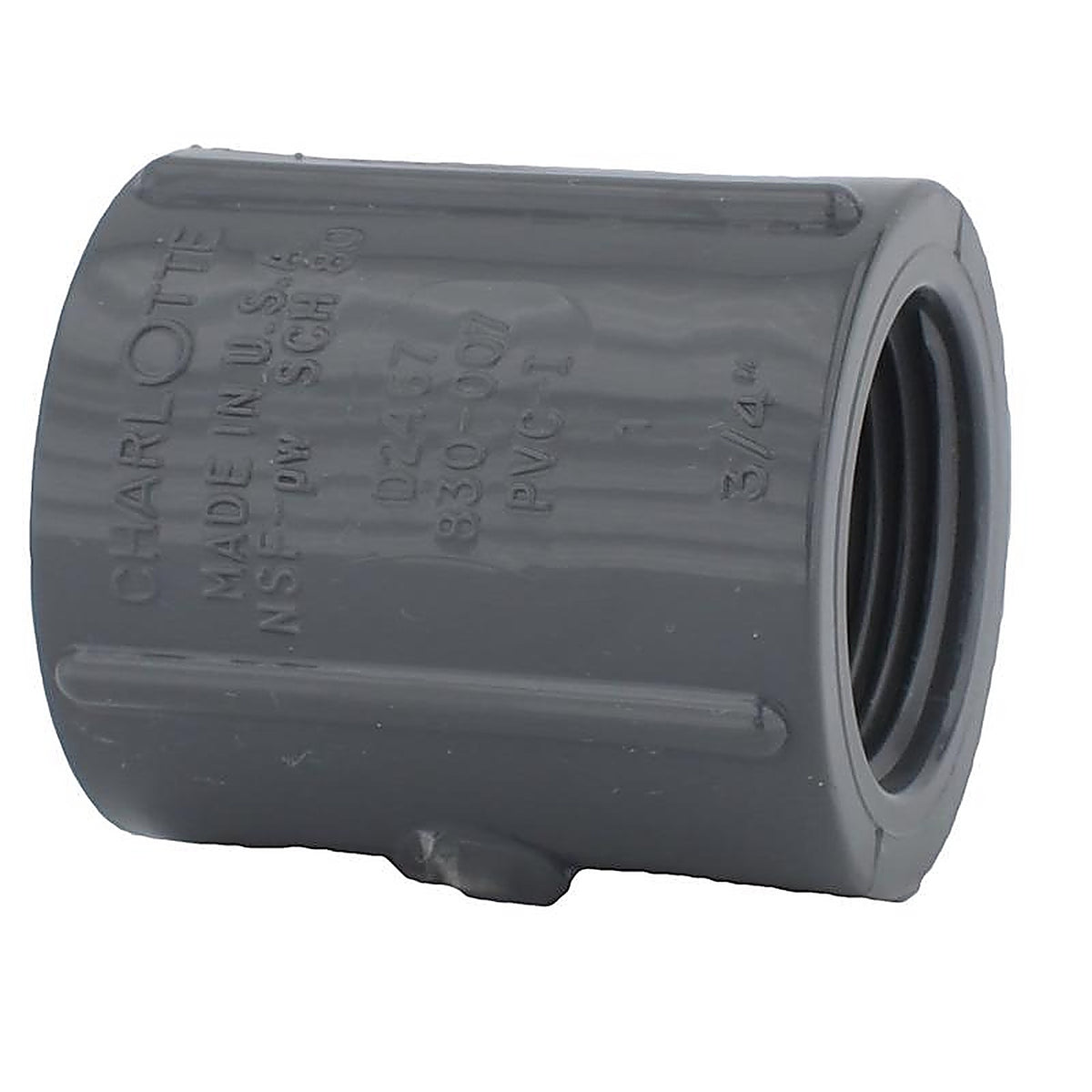 Charlotte Pipe PVC081021200 80 3/4 in. FPT x 3/4 in. Dia. FPT PVC Coupling