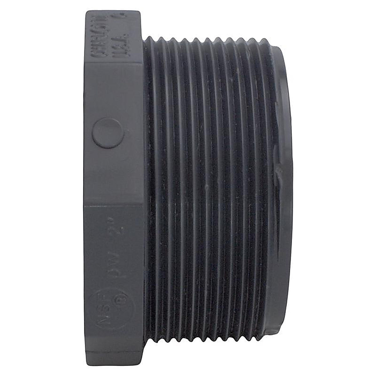 Charlotte Pipe PVC081132000 Schedule 80 2 in. MPT x 2 in. Dia. MPT PVC Threaded Plug