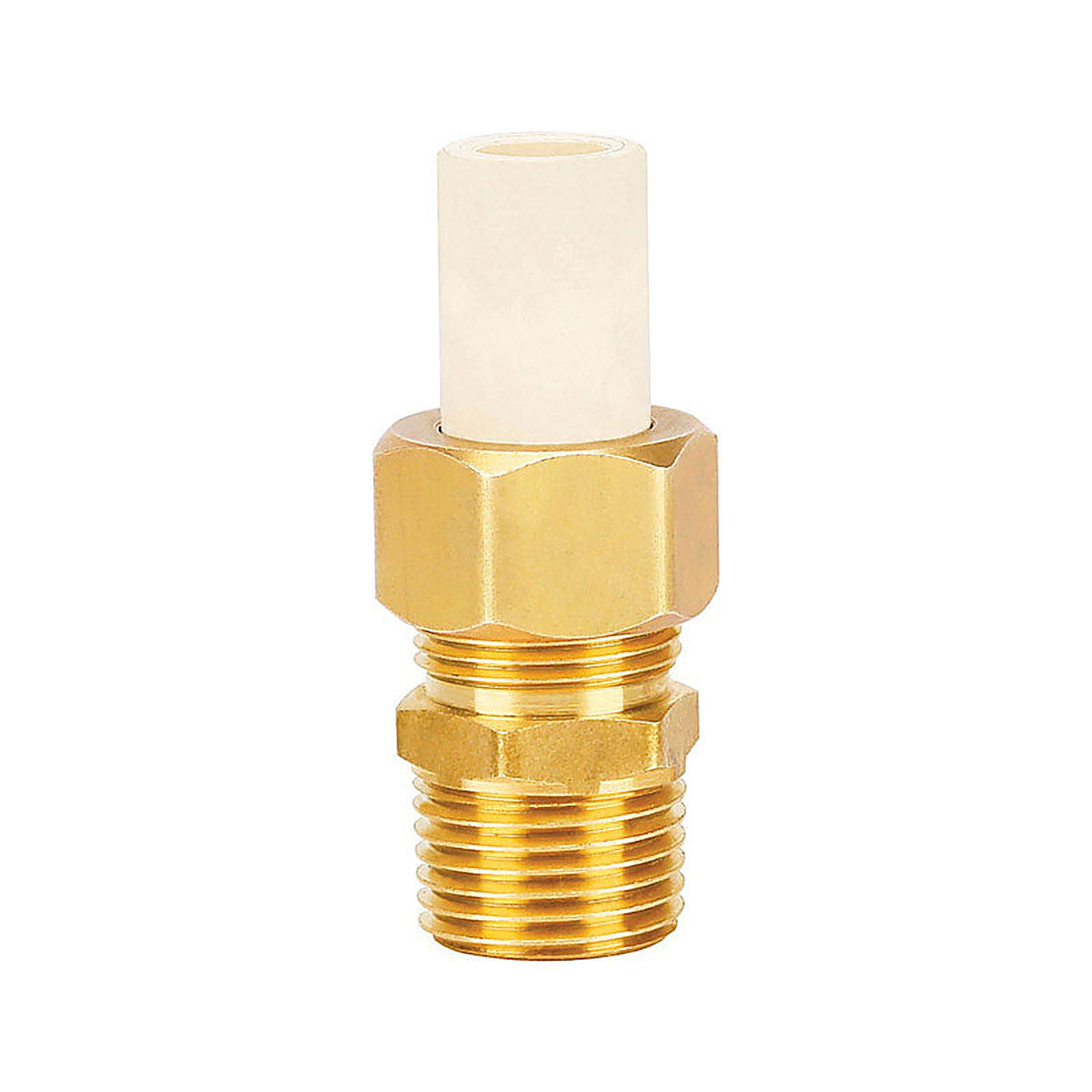 Homewerks 544-12-12-B Schedule 40 1/2 in. Compression x 1/2 in. Dia. MPT CPVC/Brass Adapter Coupling