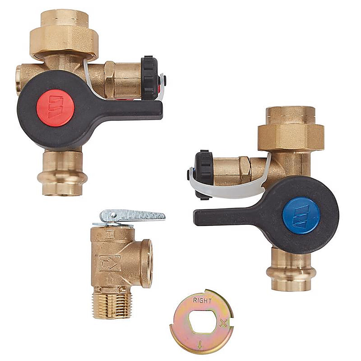Reliance 100112156 3/4 in. Brass Valve Kit