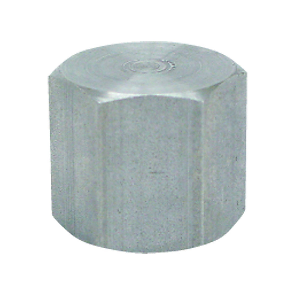 Anvil 8700132502 1/8 in. FPT Malleable Iron Cap