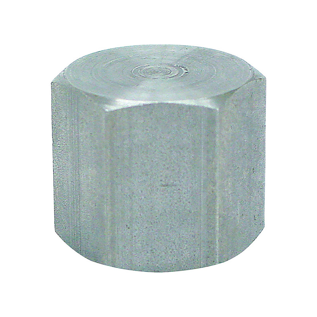 Anvil 8700132551 1/4 in. FPT Malleable Iron Cap