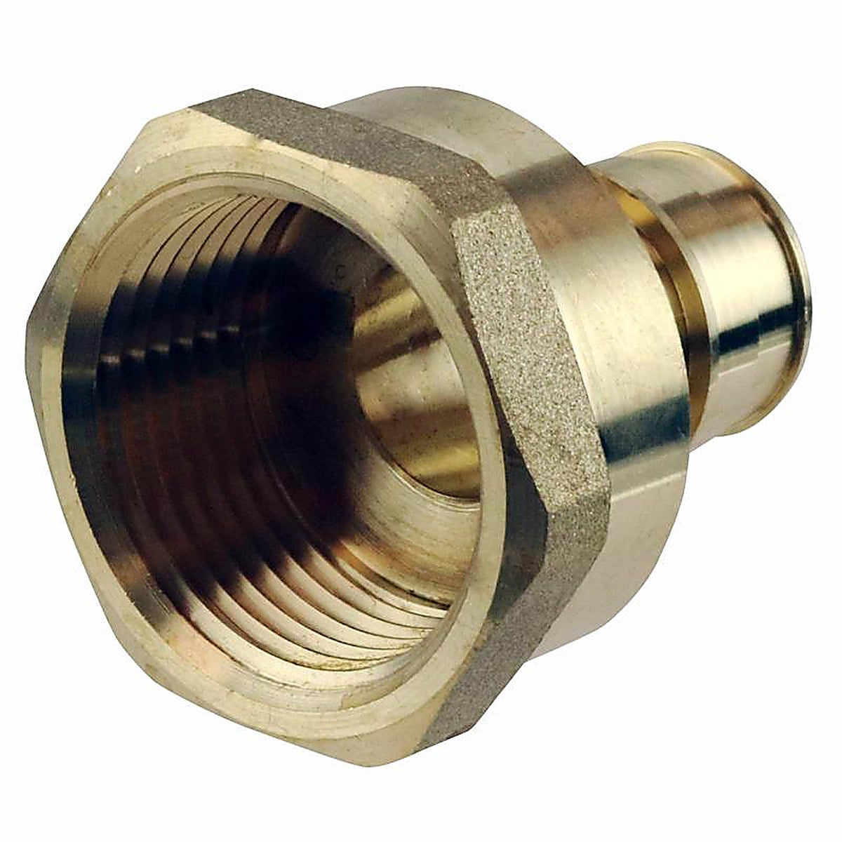 Apollo EPXFA341 Pex A 3/4 in. PEX x 1 in. Dia. FPT Brass Female Adapter