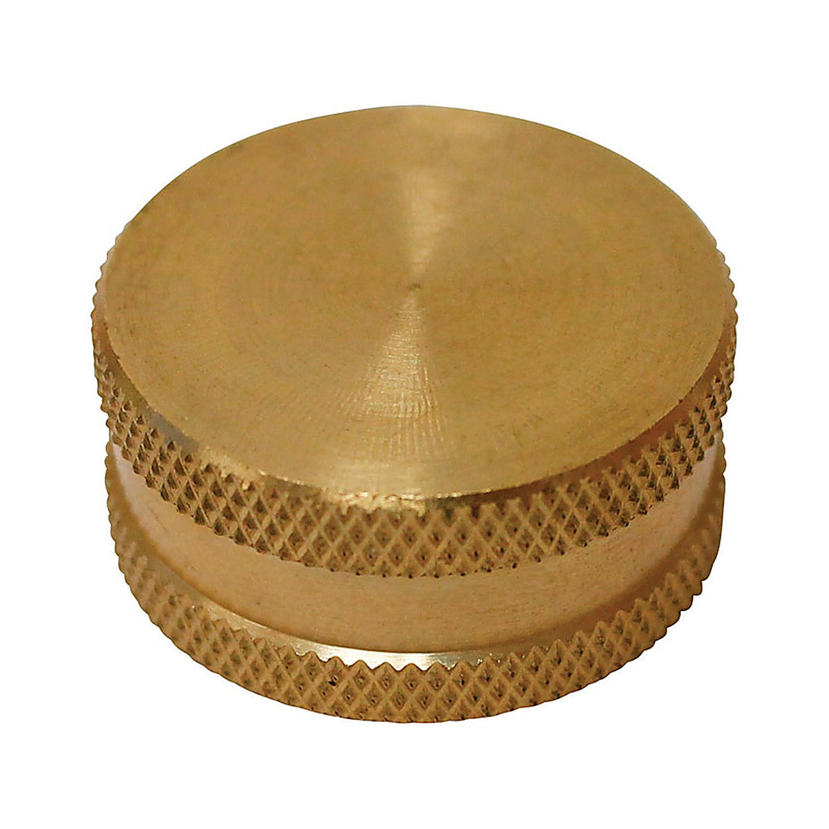 Plumb Pak PP850-68 Brass 3/4 in. Dia. x 3/4 in. Dia. Hose Cap with Washer 1/Pack