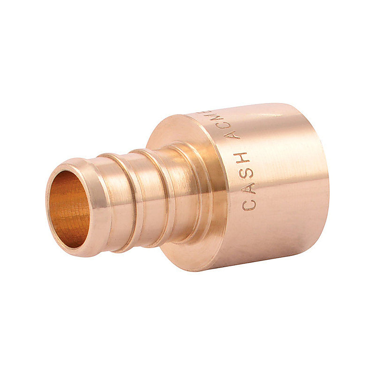 SharkBite UC600LFCP25 1/2 in. FPT x 1/2 in. Dia. FPT Female Adapter