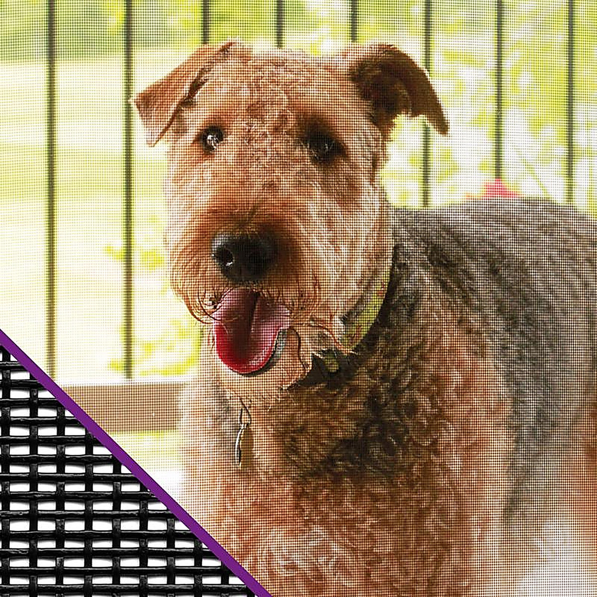 Saint-Gobain - FCS10389-M - Adfors Pet Resistant 36 In. W X 7 Ft. L Charcoal Polyester Pet Screen Cloth