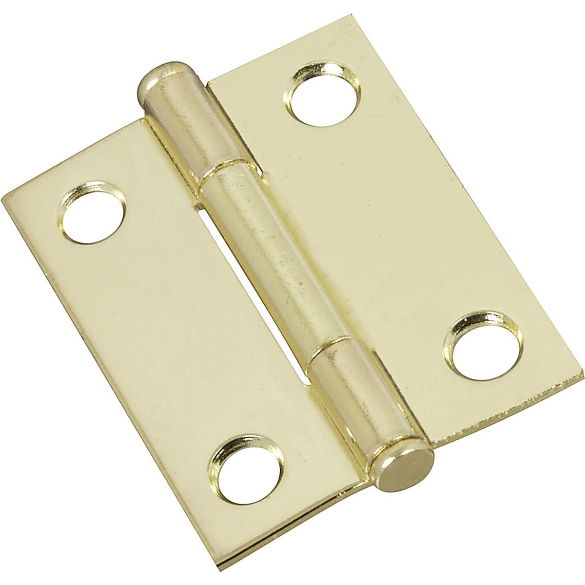 National Hardware - N146-639 - 1.56 In. W X 2 In. L Brass Steel Cabinet Hinge 2 Pack