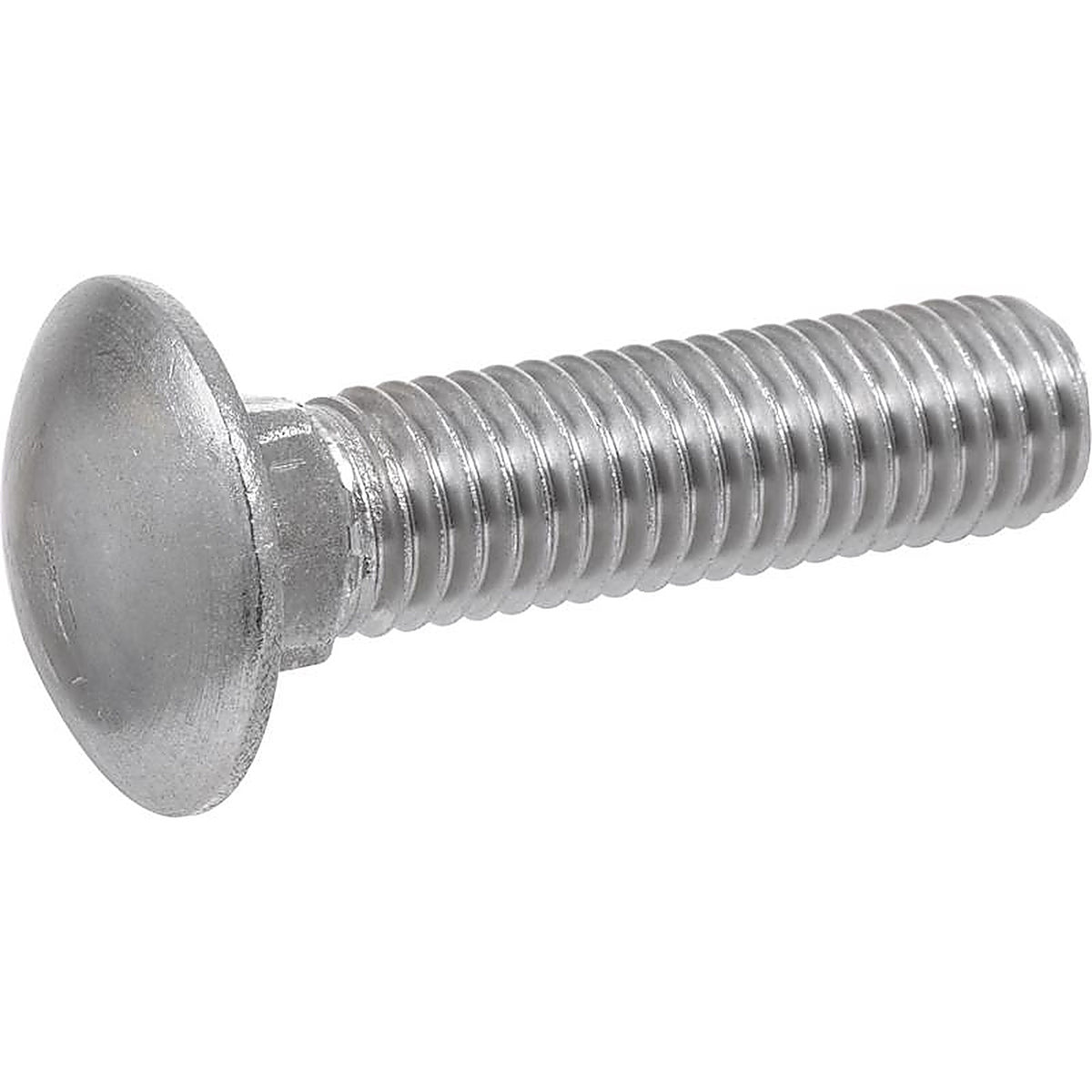 Hillman - 0832590 - 5/16 In. X 5 In. L Stainless Steel Carriage Bolt 25 Pack