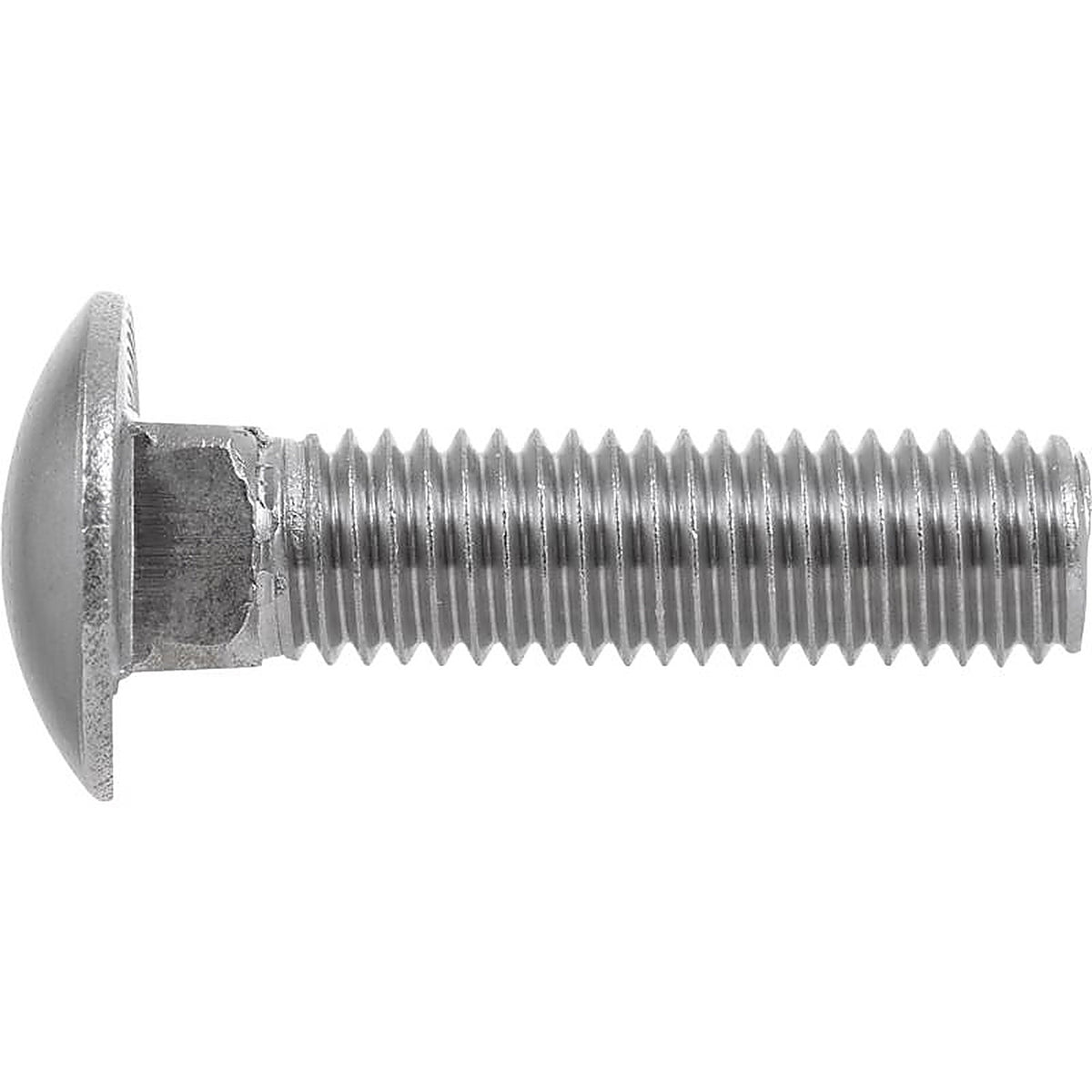 Hillman - 0832590 - 5/16 In. X 5 In. L Stainless Steel Carriage Bolt 25 Pack