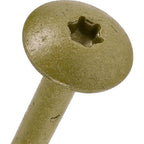 Hillman 48898 Power Pro 5/16 in. x 6 in. L Star Steel Lag Screw 1/Pack