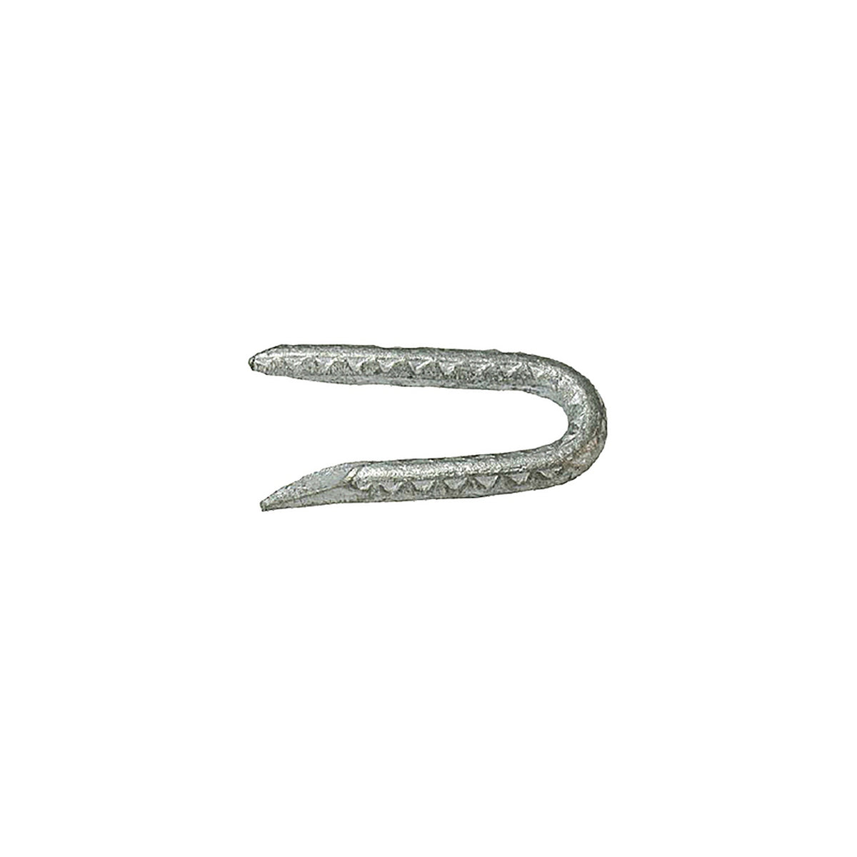 Grip-Rite 134HGFS 1-3/4 in. L Hot-Dipped Galvanized Steel Fence Staples 9 Ga. 3050/Pack 50 lb.
