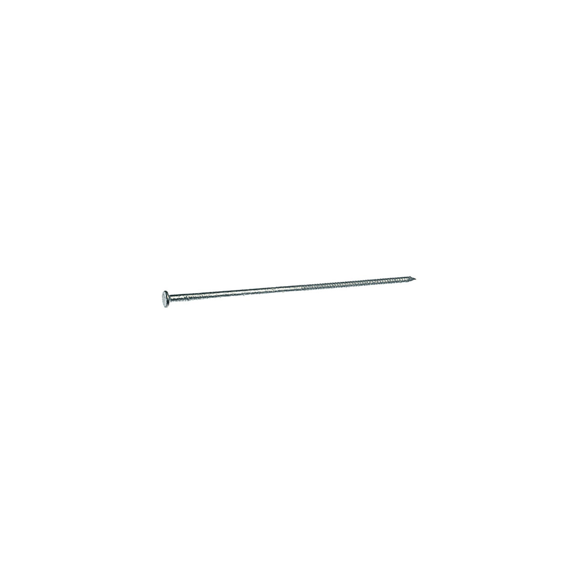 Grip-Rite 60HGTPO 60D 6 in. Pole Barn Hot-Dipped Galvanized Steel Nail Flat Head 50 lb
