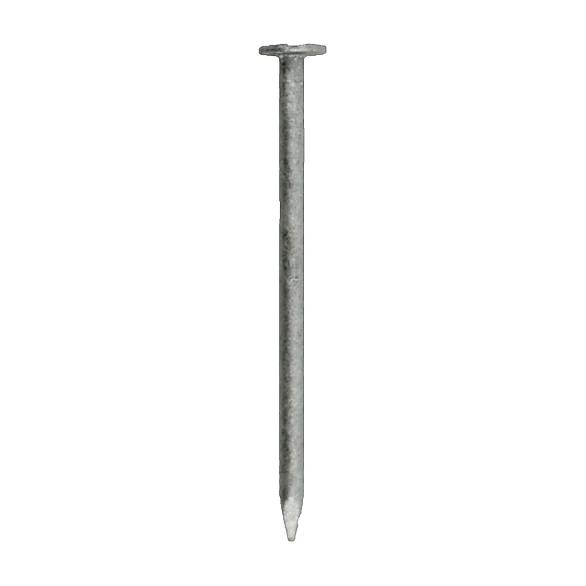 Grip-Rite 4HGBX1 4D 1-1/2 in. Box Hot-Dipped Galvanized Steel Nail Flat 1 lb.