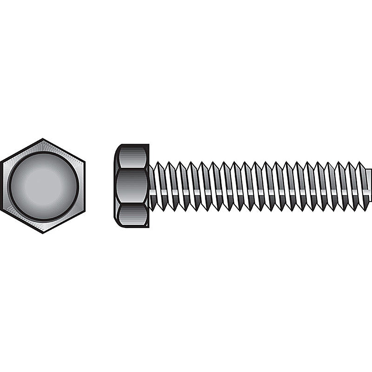 Hillman 221021 5/16 in. Dia. x 5 in. L Zinc Plated Steel Hex Tap Bolt 50/Pack
