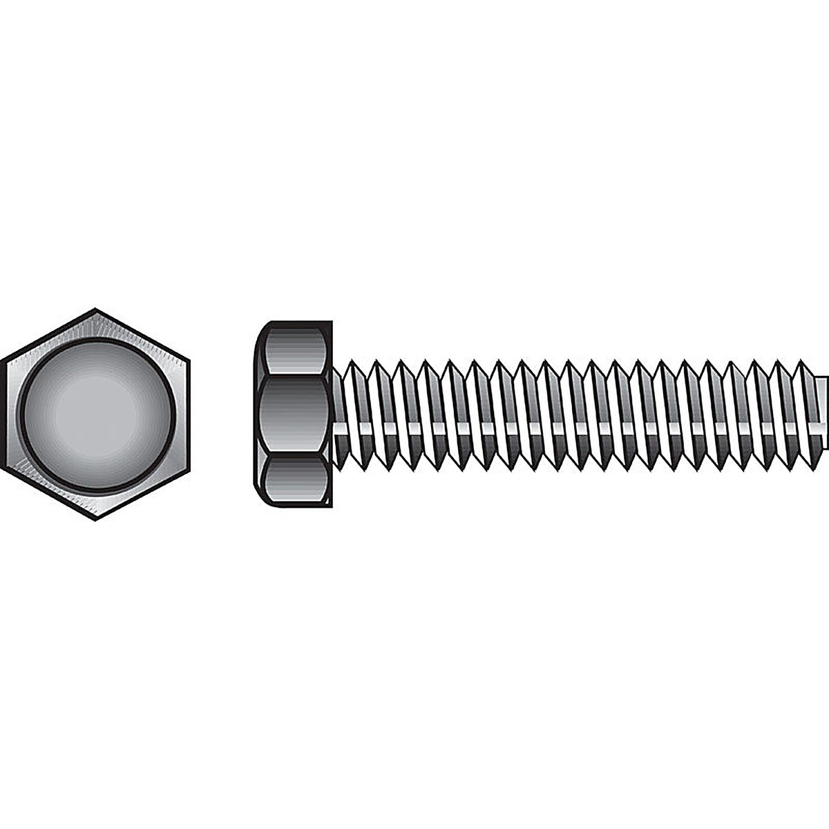 Hillman 221032 3/8 in. Dia. x 6 in. L Zinc Plated Steel Hex Tap Bolt 50/Pack