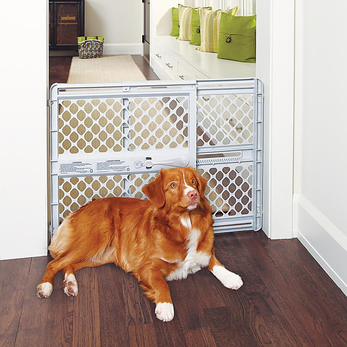 North States 8615 Gray 26 in. H x 26-42 in. W Plastic Child Safety Gate