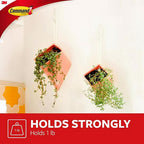 3M 17082ES Small Plastic Designer Hooks 2-1/8 in. L 2/Pack