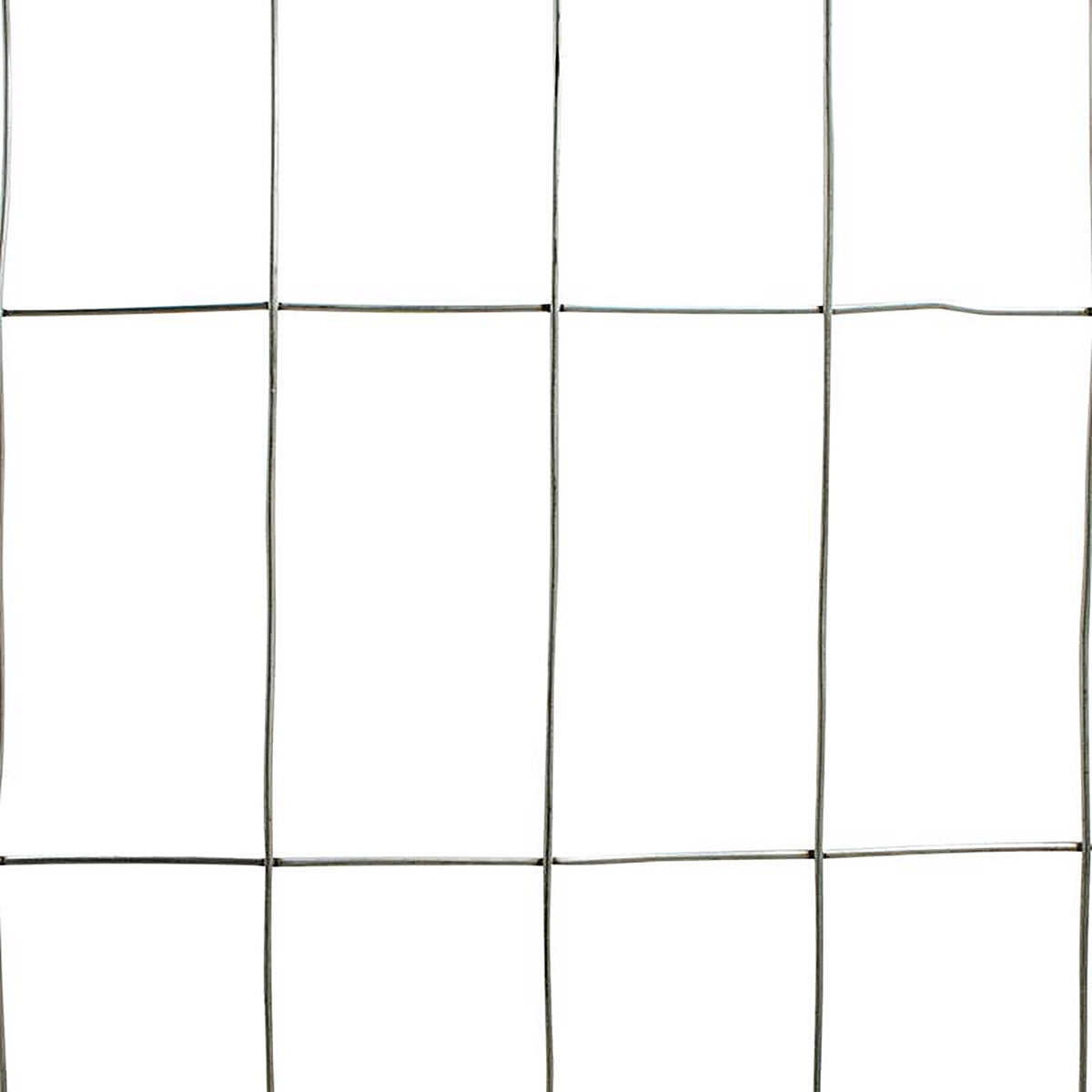 Garden Zone 432425 IronRidge 24 in. H x 24 in. W 25 ft. Steel Wire Cage No