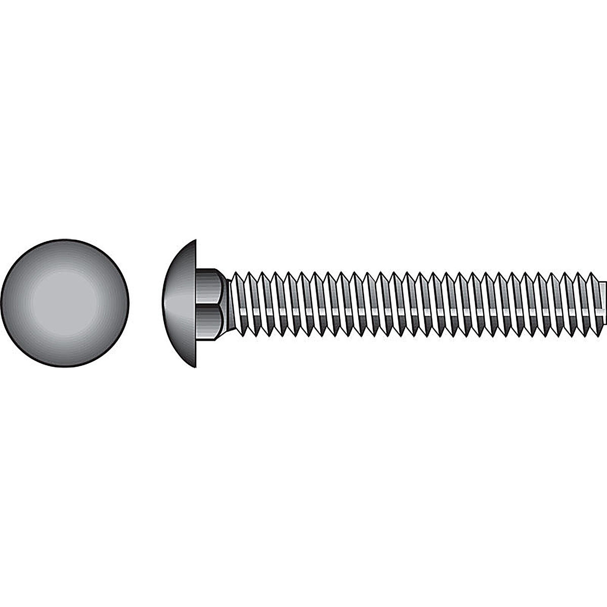 Hillman - 7812590 - 3/8 In. X 5 In. L Hot Dipped Galvanized Steel Carriage Bolt 50 Pack