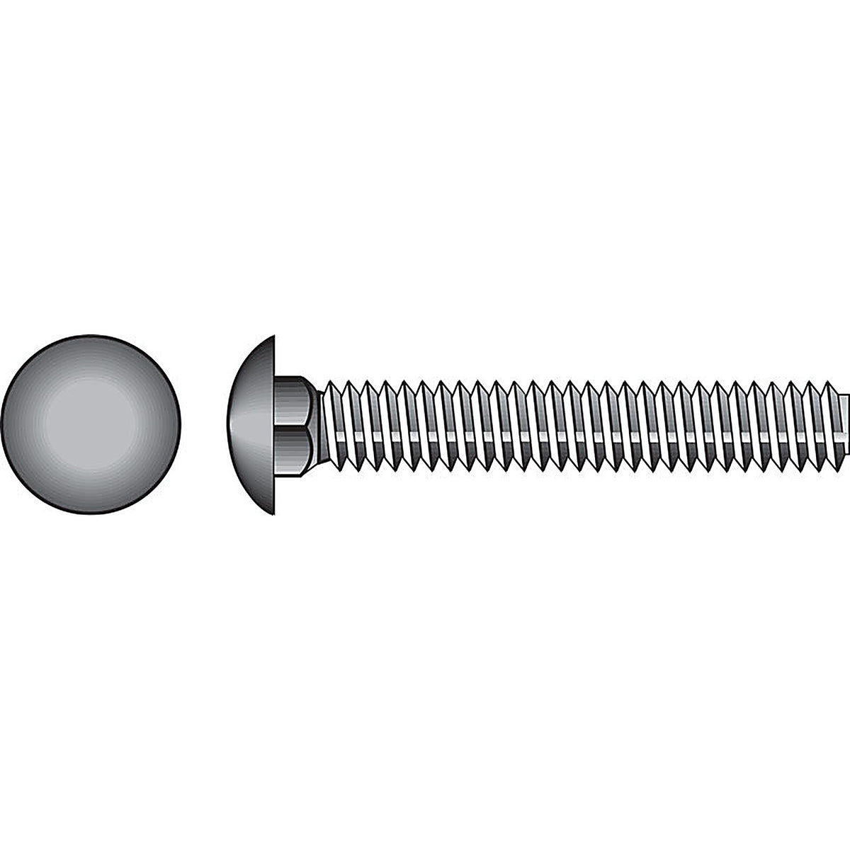 Hillman - 0832526 - 1/4 In. X 3 In. L Stainless Steel Carriage Bolt 25 Pack