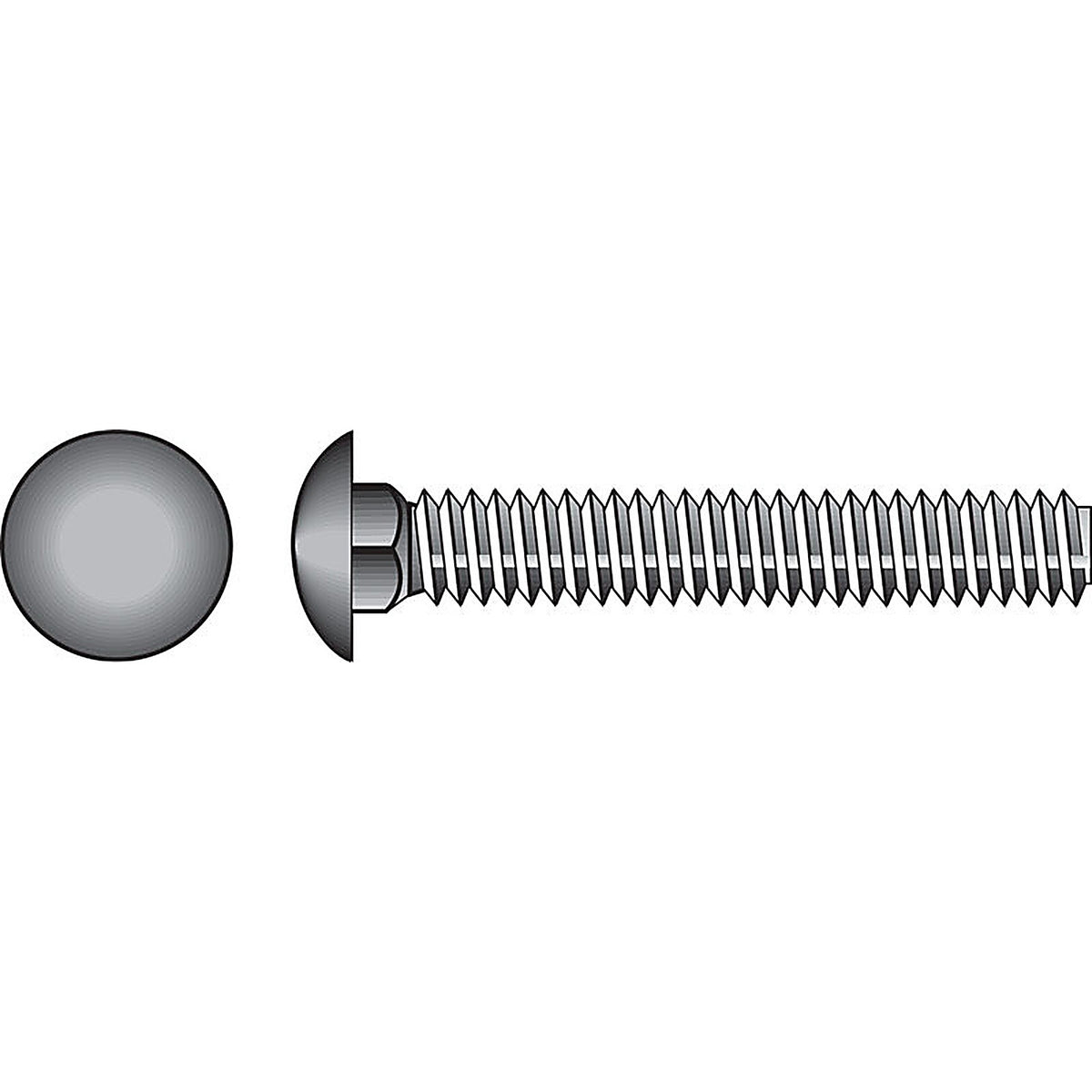Hillman - 0832534 - 1/4 In. X 4 In. L Stainless Steel Carriage Bolt 25 Pack