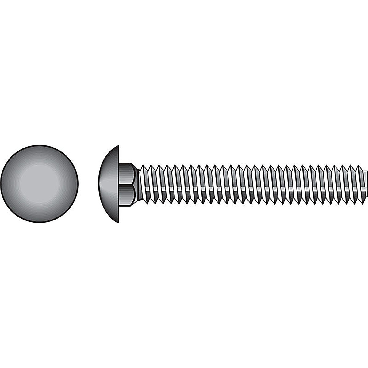 Hillman - 0832570 - 5/16 In. X 2 In. L Stainless Steel Carriage Bolt 50 Pack