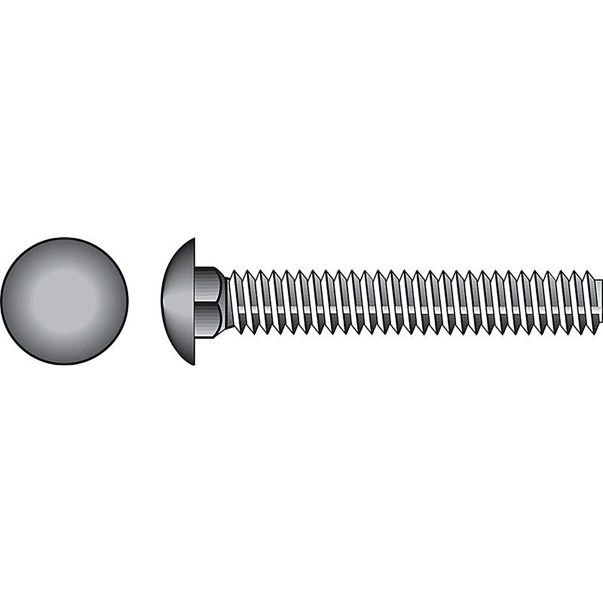 Hillman - 0832618 - 0.375 In. X 1 In. L Stainless Steel Carriage Bolt 25 Pack