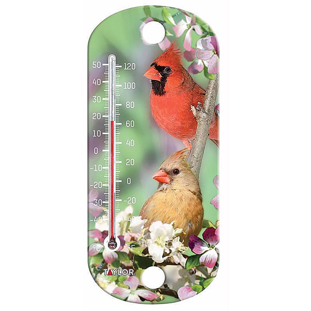 Taylor 5204 Bird Design Tube Thermometer Plastic